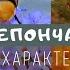 Отряд Перепончатокрылые Биология 7 класс Класс Насекомые Тип Членистоногие Осы наездники пчелы