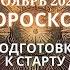 Стрелец гороскоп на ноябрь 2024 года Подготовка к старту