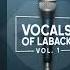 Vocals Of LABACK Vol 1 Premium Vocal Samples Pack Melody Loops One Shots Trailer