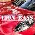 Nick Faraxsan Love Rules LION BASS