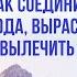 Как соединиться с энергией рода вырасти финансово и вылечить кисты