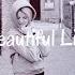 Alan Walker Beautiful Life Original Seantonio Mix