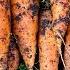 How To Grow Carrots From Seed To Harvest