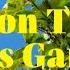 Fool S Garden Lemon Tree Lyrics