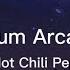 Red Hot Chili Peppers Stadium Arcadium Lyrics