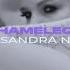 SANDRA N Chameleon Slowed Reverbed Official Audio