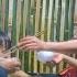 The Kind Man Helped His Mother Make A Bamboo Fence Around The House And Then Had Dinner Together