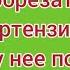 Как обрезать гортензию Где расположены почки Подробно для новичков