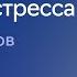 Сомнолог Роман Бузунов о том как высыпаться и чувствовать себя хорошо в период стресса