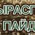 АДЫРАСПАН АДЫРАСПАННЫҢ СІЗ БІЛМЕЙТІН ЕМДІК ҚАСИЕТІ