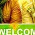 Welcome To Karachi 2015 Full Bollywood Movie Jackky Bhagnani Arshad Warsi Lauren Gottlieb