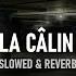 La Calin Slowed And Reverb