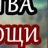 Сильная Молитва Сергию Радонежскому о помощи