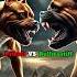 Pitbull Dominance We Tested Them Against Other Breeds Here S What S Best Doglover Pitbull Dog