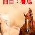 Horse Race 赛马 Sai Ma Er Hu Chinese Violin