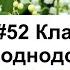 Биология 6 класс Пасечник аудио Параграф 52 Класс однодольные слушать