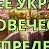 Будущее Украины и человечества предопределено