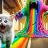 Kitten Chased By Rainbow Slime Cat Cats Catvideos Cutecat Catlover