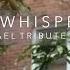 Careless Whisper George Michael Tribute Sam Tsui