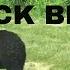 WHAT TO DO IF YOU ENCOUNTER A BLACK BEAR