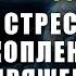 Медитация от Стресса и Накопленного Напряжения в Теле и Психике Исцеление Перед Сном Ливанда