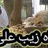 Heer Waris Shah By Shahzaib Ali Warsi At Darga Ustaad Aseer E Warsi Eid Day