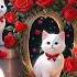 Ll Which Is Your Favourite Cat Ll Trending Cat Short Video Ll