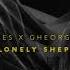 Dave Andres X Gheorghe Zamfir The Lonely Shepherd Dub Version