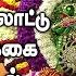 அழக மலர ஊஞ சல ஆட அம வ ச அங க ளம மன ஊஞ சல பம ப உட க க ப ச ர ப டல Apoorva Audios