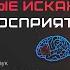 Екатерина Шульман лекция Когнитивные искажения в Ереване