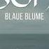 Blaue Blume Ebony MV