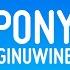 Ginuwine Pony Lyrics