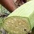 MAKING COCONUT WINE NATIVE WINE