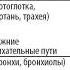 Фостер ингалятор для лечения и контроля бронхиальной астмы