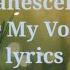 Evanescence Use My Voice Lyrics