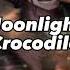 Moonlight Crocodile ɪᴀ ᴄᴏᴠᴇʀ