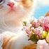 Calming Music For Cats Sleep Music For Cats With Peaceful Melody Sleep Music For Anxious Cats