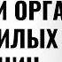 Изменения в половом органе после 60 лет о которых вы не знали