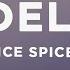 Ice Spice Deli Lyrics