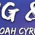 Noah Cyrus Young Sad Lyrics