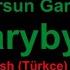 Sahydursun Garajaýewa Garybym Lyrics Türkçe Çeviri Turkmen Turkish Comparison