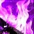 PURPLE FIREPLACE 4K Ultra HD