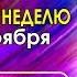 АСТРОПРОГНОЗ НА НЕДЕЛЮ С 4 ПО 10 НОЯБРЯ 2024 ГОДА АСТРОЛОГ АЛЕКСАНДР ЗАРАЕВ