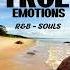 DJ DOTCOM PRESENTS TRUE EMOTIONS R B X SOULS MIXTAPE GOLD COLLECTION