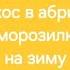 Абрикос как свежий зимой Абрикос в АБРИКОСЕ в морозилке на зиму Самый лучший рецепт