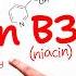 The Vitamin B3 NIACIN Secrets You Need To Know UPDATED