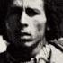 Bob Marley Caution Trojan Records 1971