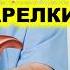 ЖИРОВОЙ ГЕПАТОЗ Обнаружен главный виновник ОЖИРЕНИЯ ПЕЧЕНИ