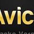 Avicii Wake Me Up Karaoke Version