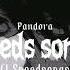 Pandora DJ Matt D Speed Songs